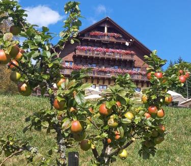 Kvilda Hotel | Hotel Alpská vyhlídka