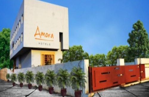 Rajnandgaon Hotel | HOTEL AMORA - Rajnandgaon