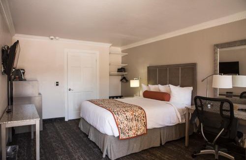 Old Mountain View Hotel | Hotel Aria