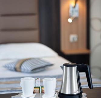 Cœur de Ville Hotel | HOTEL ARVERNA VICHY - ClT'HOTEL