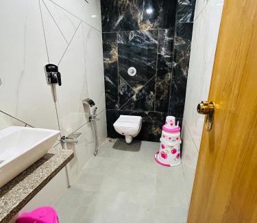 Shamlaji Hotel | Hotel Asopalav