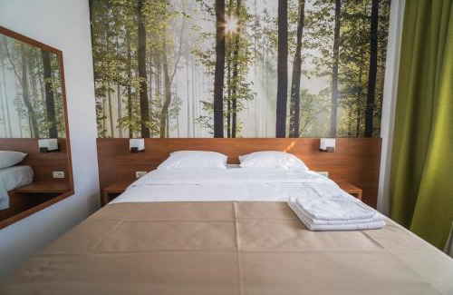 Deva Hotel | Hotel Comat Deva