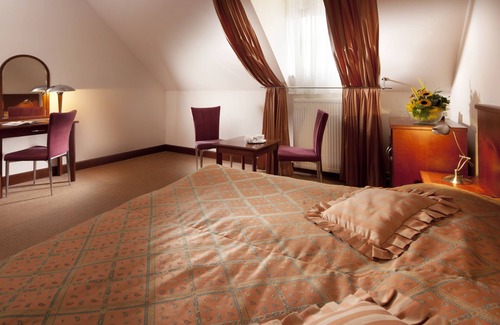 Jindrichuv Hradec Hotel | Hotel Concertino Zlatá Husa