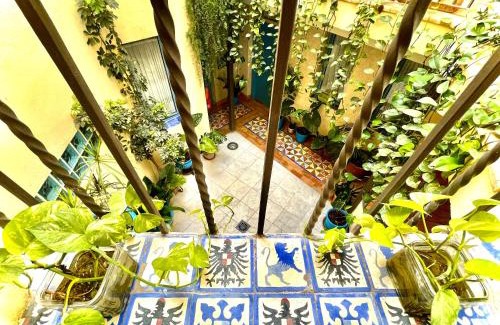 Cordoba Old City Hotel | Hotel Conde de Cárdenas