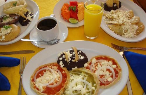 Ricardo Flores Magon Hotel | Hotel Delfines - a 2 calles del Acuario Veracruz