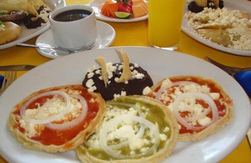 Ricardo Flores Magon Hotel | Hotel Delfines - a 2 calles del Acuario Veracruz