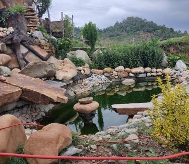 Majkhali Hotel | HOTEL DEV CHHAYA