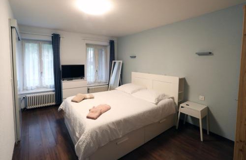 Grandson Hotel | Hotel du Lac Grandson