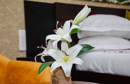 Ngaring Hotel | Hotel du Parc