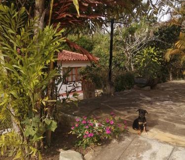 Los Santos Hotel | Hotel Ecoposada Viña de Aldana