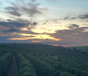 Brotas Hotel | Hotel Fazenda em Brotas - HFR