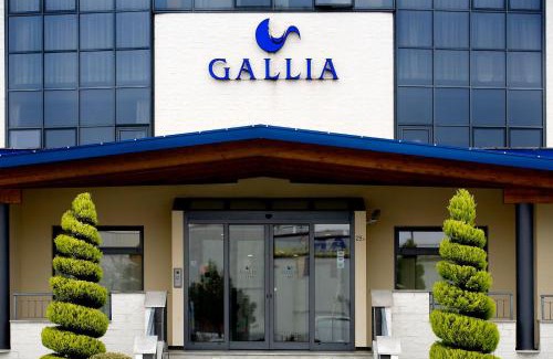 Pianezza Hotel | Hotel Gallia