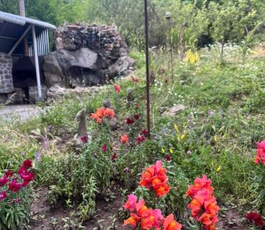 Halidzor Bed & Breakfast | Hotel Halidzor