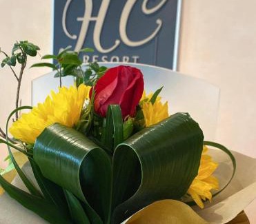 Lignano Sabbiadoro Hotel | Hotel Hc Resort Lignano