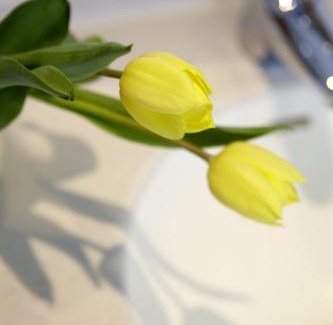 Innsbruck City Centre Hotel | Hotel Innsbruck