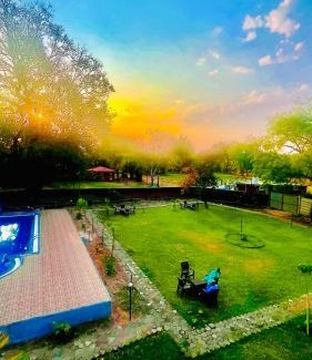 Tala Hotel | Hotel Jungle Palace Resort