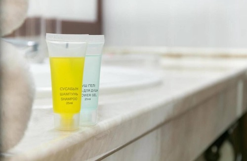 Turkestan Hotel | Hotel Khanaka