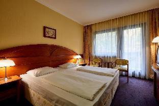 Sopron Hotel | Hotel Lövér Sopron