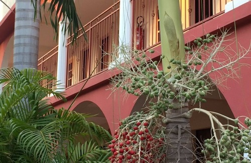 Ziguinchor Apartment | HOTEL LE FLAMBOYANT
