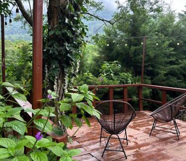 Los Naranjos Hotel | Hotel Nido de Pájaro