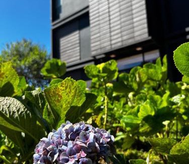 Los Naranjos Hotel | Hotel Nido de Pájaro