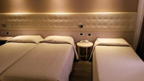 Aosta Hotel | Hotel Norden Palace