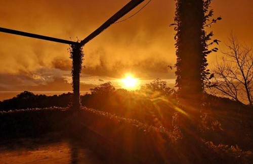 Velas Hotel | Hotel os Moinhos