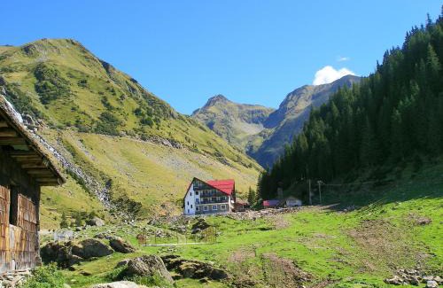 Capatanenii Pamanteni Hotel | Hotel Paraul Capra