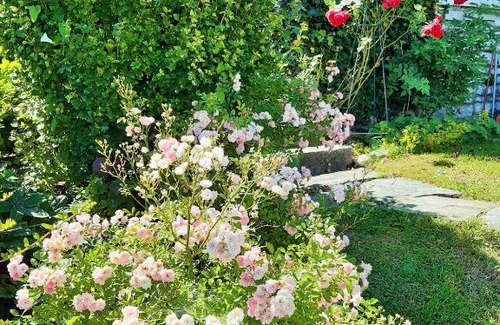 Franking House | Hotel/Pension Rosengarten