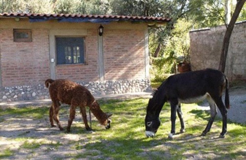 San Agustin de Valle Fertil Hotel | Hotel Rustico Cerro Del Valle
