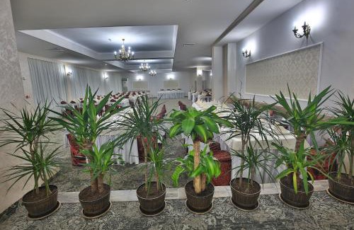 Mioveni Hotel | HOTEL RAXAND Residence
