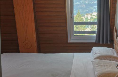 Ronzone Hotel | Hotel Regina del Bosco