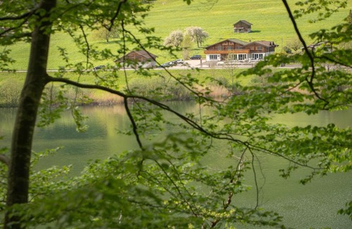 Goldswil Hotel | Hotel-Restaurant Burgseeli