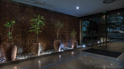 Lyaskovo Hotel | Hotel Sani