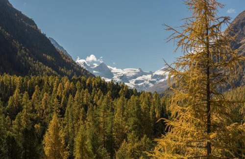 Pontresina Hotel | Hotel Saratz Pontresina Mountain Resort & Spa