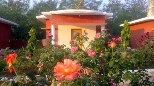 Khajuraho Hotel | Hotel Shree Krishna Jungle Resort