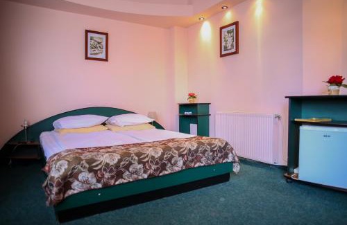 Vatra Dornei Hotel | Hotel Silva