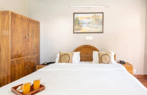 Naddi Hotel | Hotel Snow Crest Inn - Natural landscape Mountain View