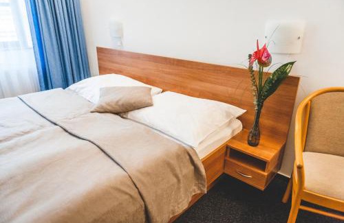 Hradec Kralove Hotel | Hotel u České koruny