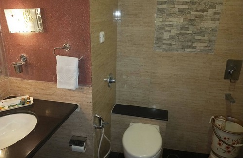 Raipur Hotel | Hotel Venkatesh International