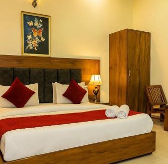 Chandigarh Hotel | Hotel Woodlark Zirakpur II A Peaceful Stay I Travelers Choice I Best for Family and Group