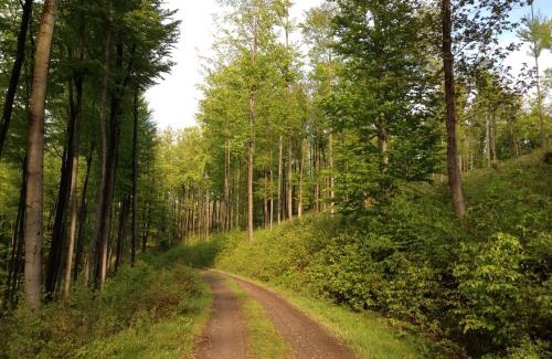 Stolberg Hotel | Hotel Zum Kanzler