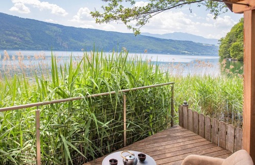 Doebriach Apartment | Hotel zur Post 3*Superior - Bivouac reed - Bivouac reed | canna palustre