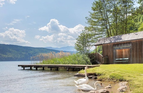 Doebriach Apartment | Hotel zur Post 3*Superior - Bivouac reed - Bivouac reed | canna palustre