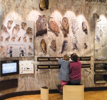 Liminka Hotel | Hotelli Liminganlahti