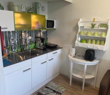 Ikaalinen Apartment | Hotelli Terme 616