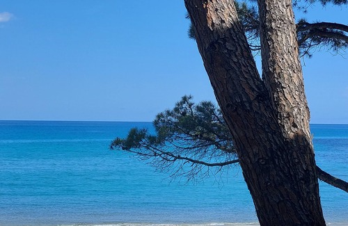 Sas Linnas Siccas House | House and garden on the sea.