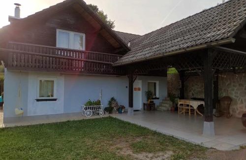 Vidrga House | House David