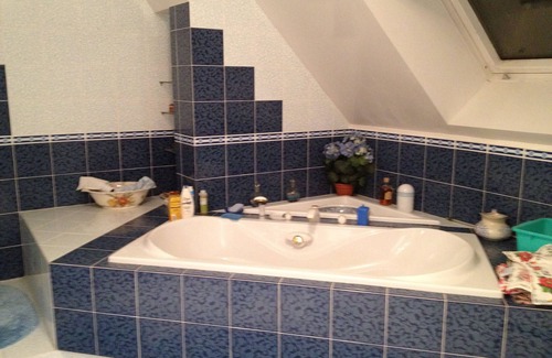 Chouzy-sur-Cisse House | House in chouzy sur cisse with garden and jacuzzi, between Blois and Chaumont