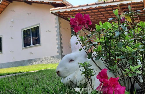 Lumiar Cottage | House in Lumiar/up to 8 people. Fireplace/private waterfall/bed and bath linen.